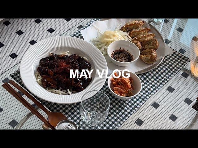 [VLOG] 자취생 집밥 브이로그  ASMR 호소인이 되..ㅣ직장인 도시락ㅣ해물짜장면, 군만두ㅣ스팸 무스비, 불닭ㅣ스팸 순두부찌개ㅣ굽네 고추바사삭, 치즈볼ㅣ레드니스 레스큐 언박싱