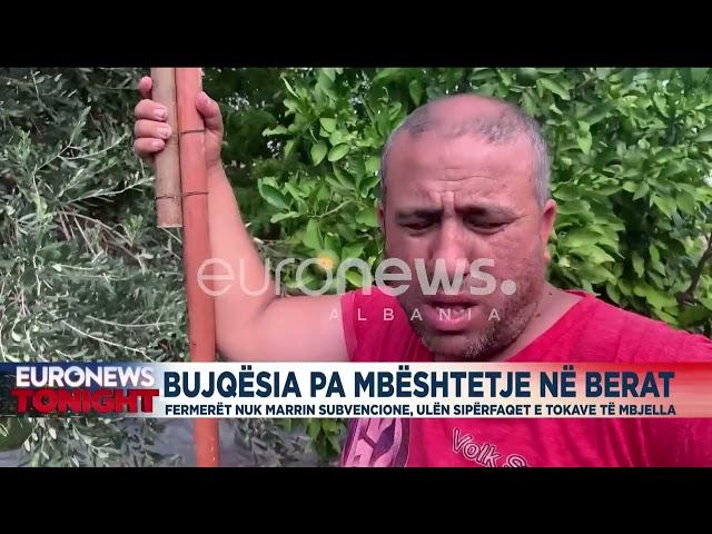 Bujqësia pa mbështetje në Berat