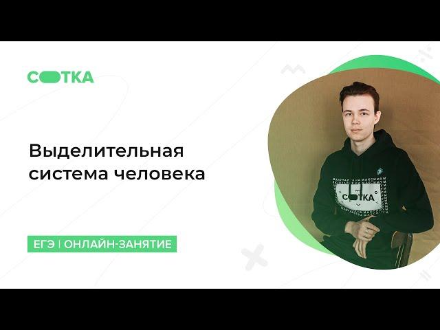 Выделительная система человека | ОГЭ БИОЛОГИЯ 2020 | Онлайн-школа СОТКА