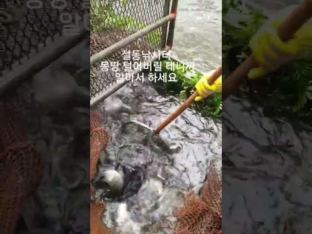 설동낚시터 하우스 역돔낚시 열렬히 환영합니다