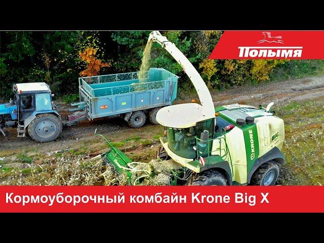 Работа кормоуборочного комбайна Krone Big X на полях СПК Маяк Заполье