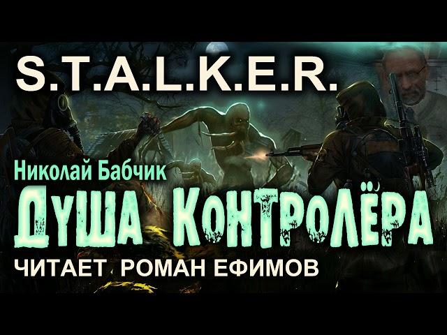 S.T.A.L.K.E.R. Душа контролёра (аудиокнига). Николай Бабчик.