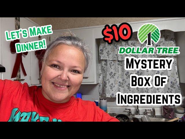 $10 Dinner From The Dollar Tree | Mystery Box Of Ingredients Makes A Huge Meal!