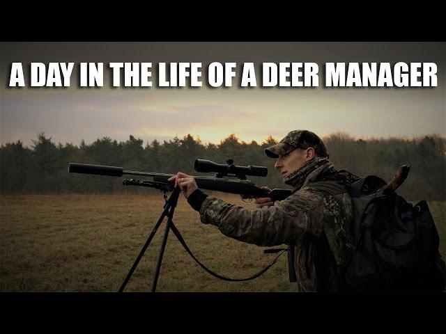 A day in the life of a deer manager