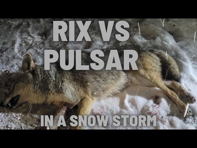 RIX vs Pulsar - Coyote Hunting