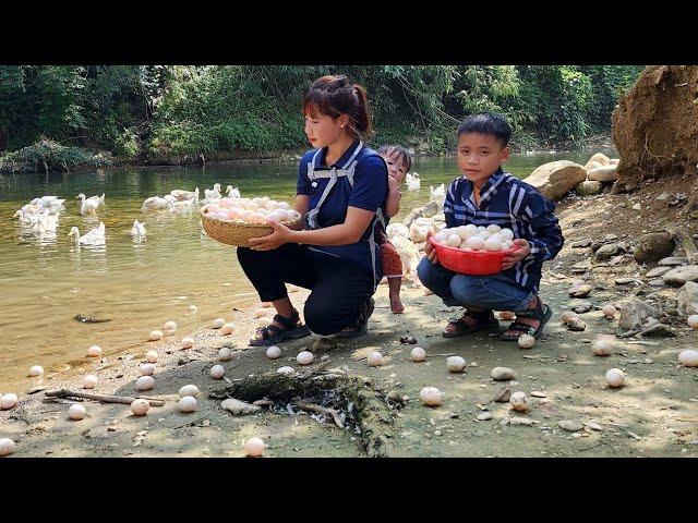 Full Video:Harvesting vegetables and eggs_ Going to the market_ ​​Gardening_ Lý Thị Xuân single mom