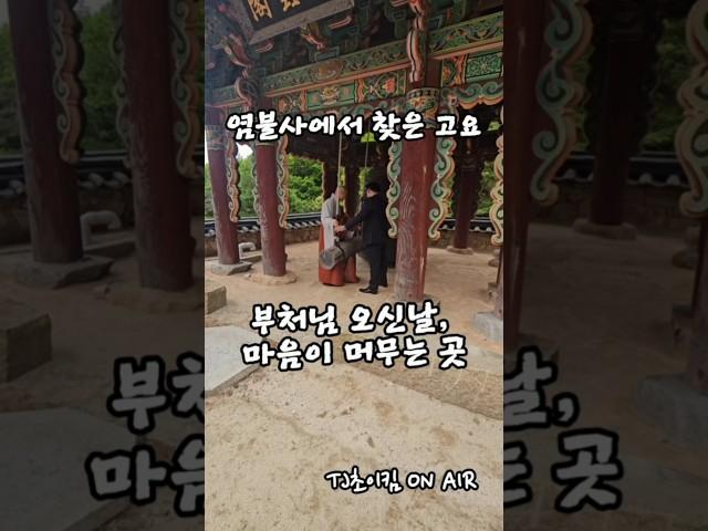 염불사의 종소리, 마음을 울리다 | 부처님 오신날의 고요한 순간