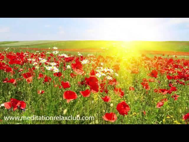 Easter Music Playlist, Traditional Easter Songs for Easter Party, Background Music