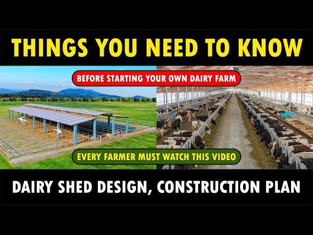 Dairy Shed Design, Construction Plan Information | Dairy Cow Farming