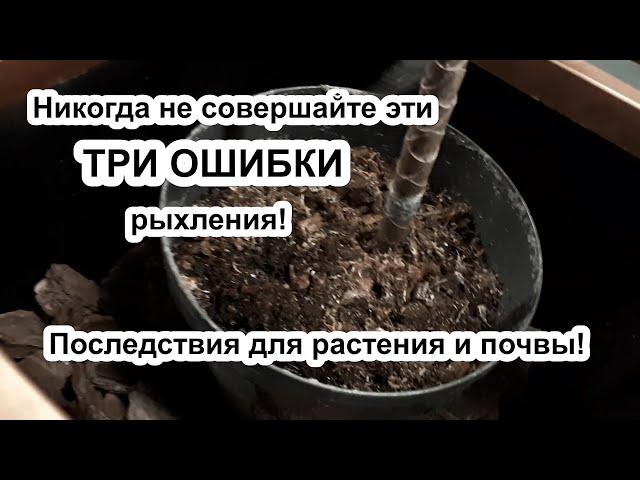 Критические ОШИБКИ рыхления! Как не испортить почву. Не НАВРЕДИ растению