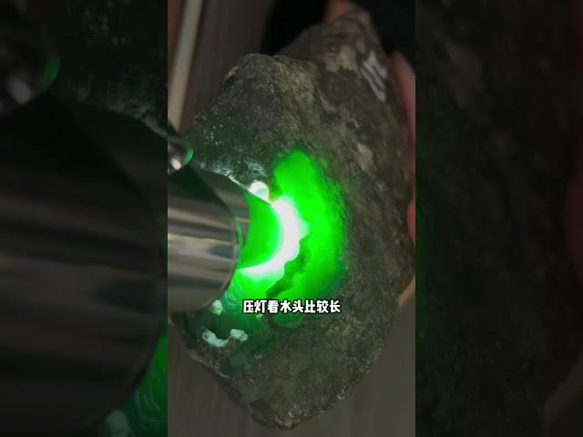 光头强损我？