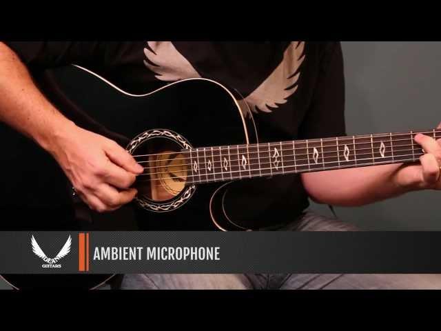 Dean Guitars product Demo - Dean Exhibition Ultra Acoustic/Electric with USB