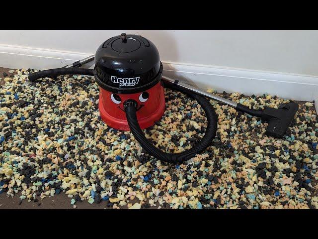 HENRY XL Plus HOOVER Vs Mighty FLUFF MESS! Extreme HOOVERING clean up! Performance test!