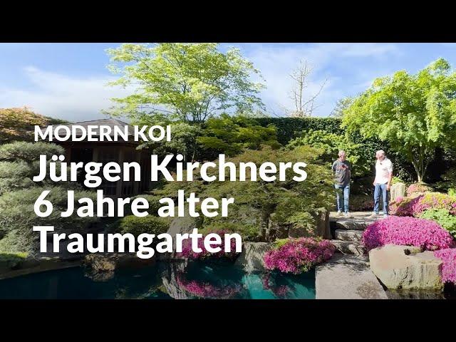 Jürgen Kirchners Traumgarten im Alter von 6 Jahren | Modern Koi Blog #6677