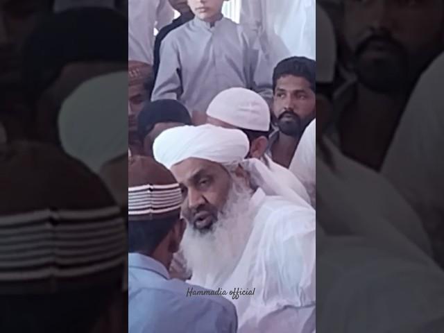 murshid Sain Abdul Qadir Halejvi #shorts #foryou #viral #islam