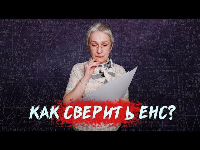 Сверка с налоговой. Как проверить остаток по ЕНС? Инструкция для ООО и ИП на УСН, ОСН, ПСН