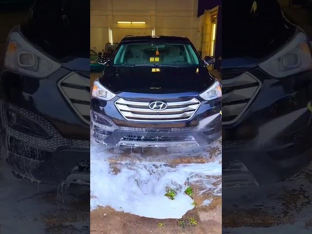 $220 Professional Exterior Detail  #ASMR #Satisfying #Detailing #CarWash #DetailDane