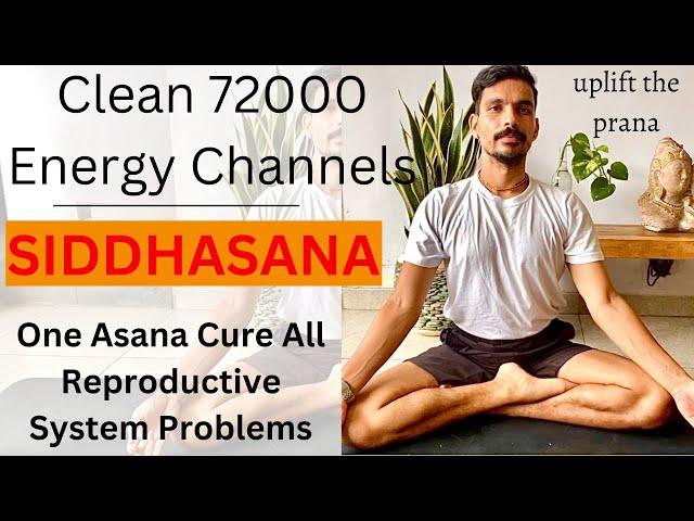 Clean 72000 Nadies With Siddhasana | How To Do Siddhasana | Yoga For Reproductive System