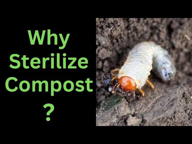 Why sterilize compost?