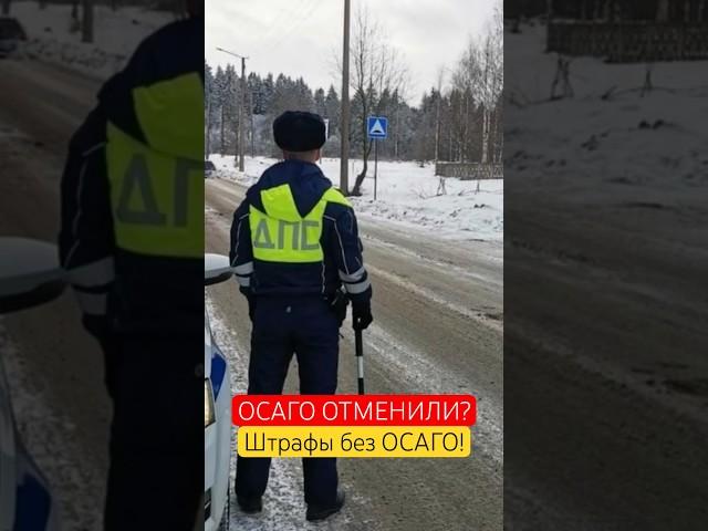 Штрафы без ОСАГО начинают увеличивать с 2024 #осаго #авто