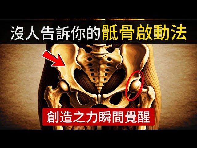 一旦像這樣活動你的骶骨，你的創造之力瞬間覺醒。（你會立刻感受到轉變！）