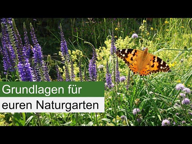 Die 5 wichtigsten Grundregeln für den Naturgarten!