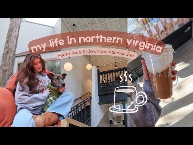 A few random days in my life living in Northern Virginia