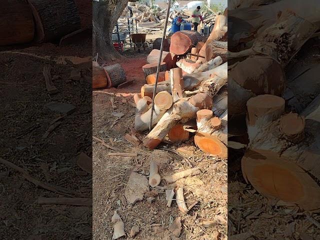 Developing future wood splitting process for system flow; efficiency