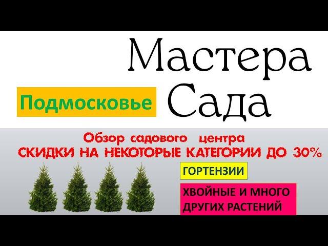 ️Садовый центр МАСТЕРА САДА. Октябрь. Хвойные, гортензии, клематисы и другие растения