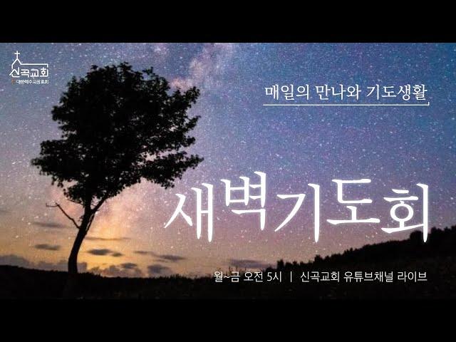 2024.12.24.(화) 신곡교회 새벽기도회 대림절 말씀묵상 (요한복음 1:1-14)