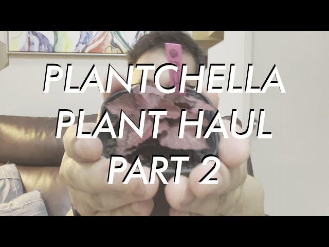 Plantchella Haul 2 - Check our  Proudly Pinoy Plant Creations by Savanah Lamsen and Merbs Pedro!
