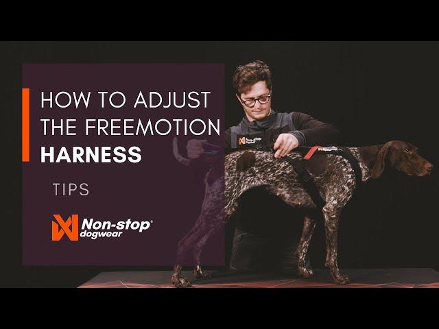 How to adjust the Freemotion harness