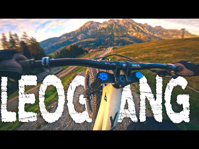 LEOGANG Bike Park // All 11 Tracks (2022)