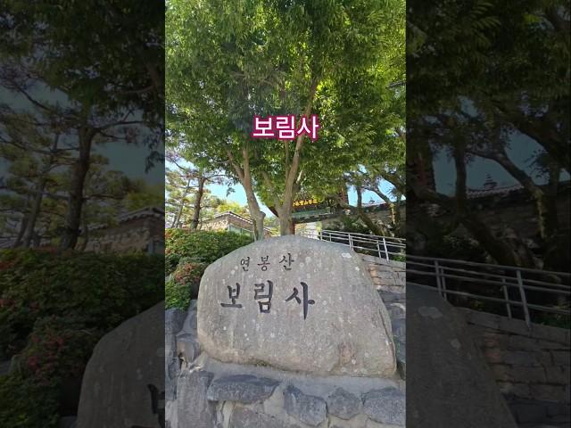[보림사 도량입니다] 늘 이렇게 맑고 정갈합니다.  #사찰여행 #사찰소개 #소원성취발원 #사찰풍경 #불교 #shorts #healing #temple
