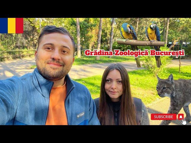 O plimbare la Grădina Zoologică București