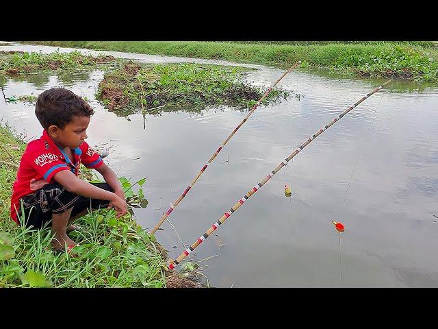 Fishing Video || Amazing hook fishing with beautiful nature || Pro Fish Hunter