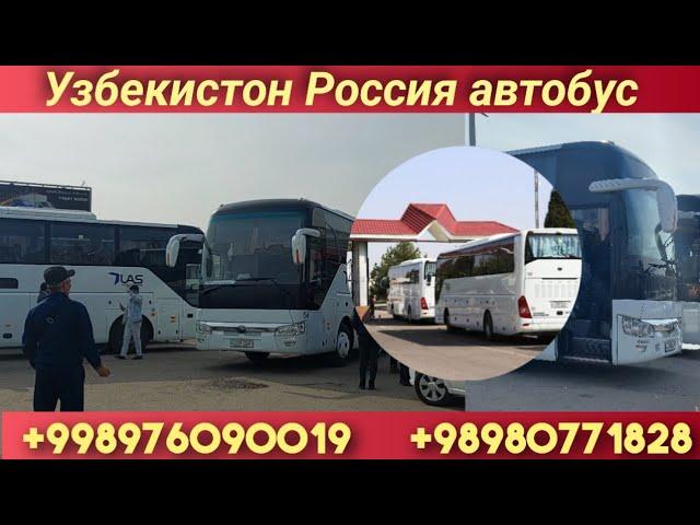 Ташкент - Москва автобус Ташкент Россия автобус