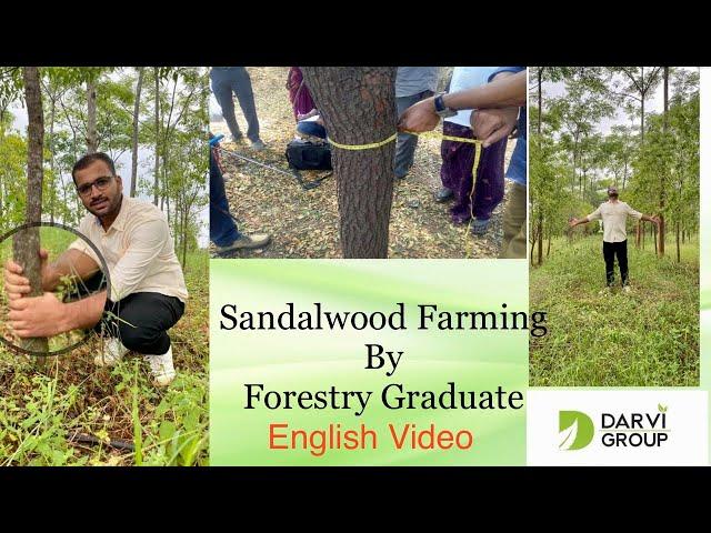 Sandalwood Cultivation Guide by - Forestry Graduate - With results