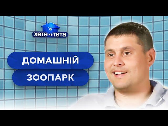 Любов татусів до тварин додала клопоту дружинам – Хата на тата | НАЙКРАЩІ ВИПУСКИ