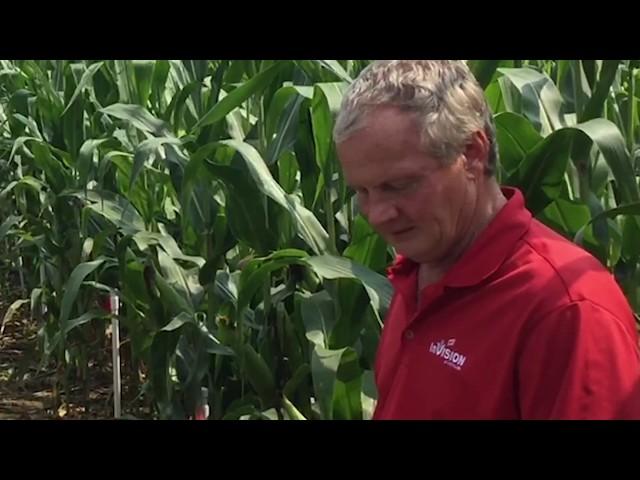 Ron Fetrow at the Penn State corn trial, Raw Video