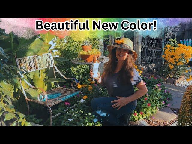 Garden Chair MAKE-OVER (Unexpected Surprise) 