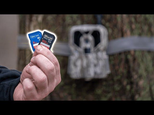 The BEST SD Cards For TRAIL CAMERAS!!!