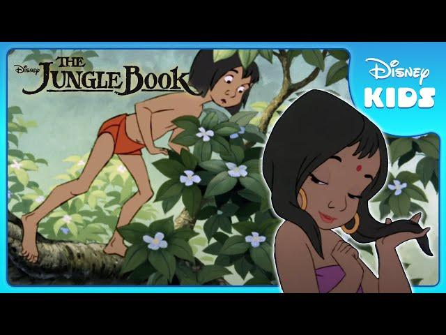 Mowgli Finds the Man Village  | Jungle Book | Disney Kids