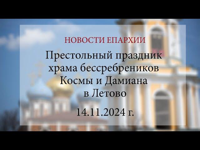 Престольный праздник храма бессребреников Космы и Дамиана в Летово (14.11.2024 г.)