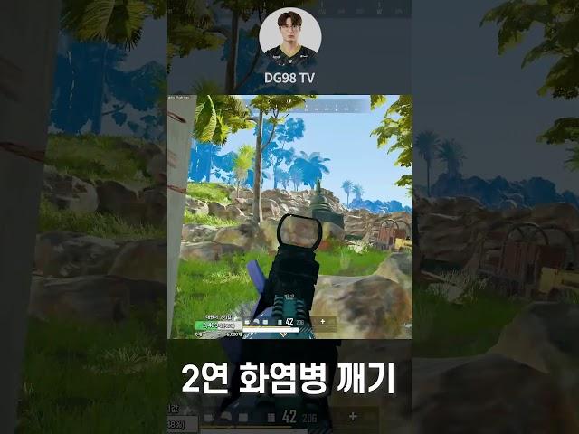 2연속 화염병 깨버리는 DG98 #Shorts