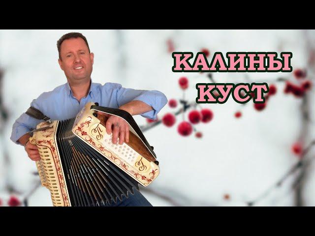 Паша гармонист - Калины куст