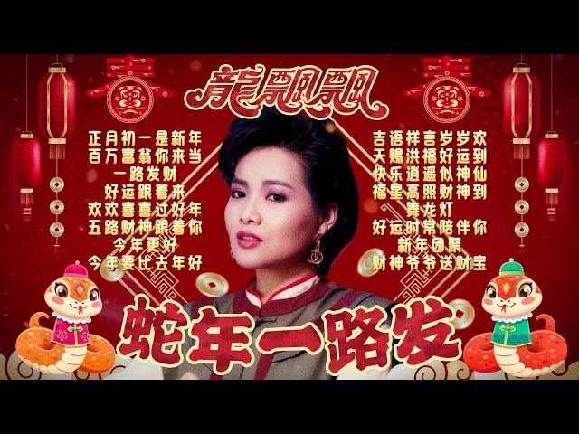 【2025新年歌】龍飄飄 蛇年大家一路發必聽經典賀歲精選歌詞版【百萬富翁你來當/五路財神跟著你/新年團聚/今年更比去年好】Long Piao Piao Chinese New Year Song