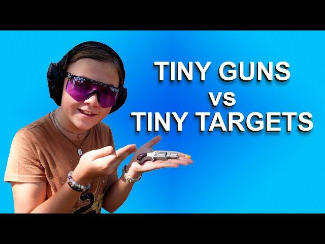 Mini Mayhem: Tiny Guns vs. Tiny Targets!