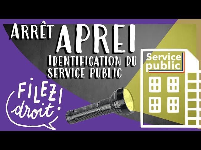 Arrêt APREI, Critères d'identification du Service Public (CE, 22 fev. 2007)