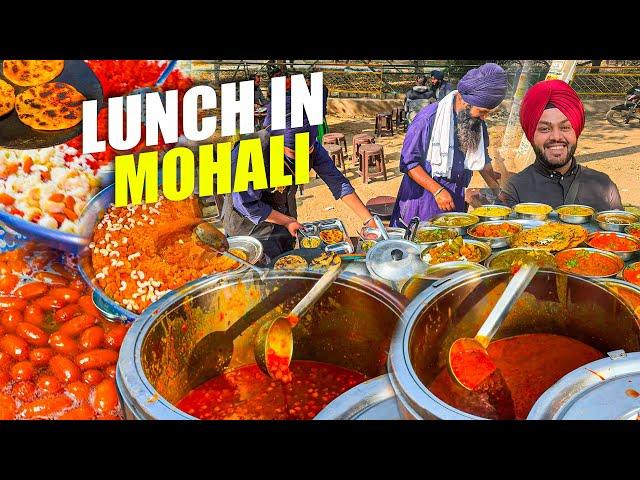 No 1 Mohali Street Food | Best Street food Lunch in Mohali | Mohali Food Vlog | Aman Food Tour